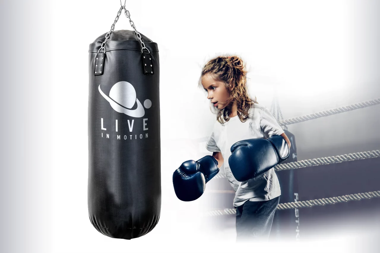 Kids Boxing Game
